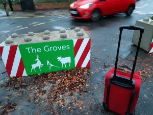 Collecting Stories From The Groves