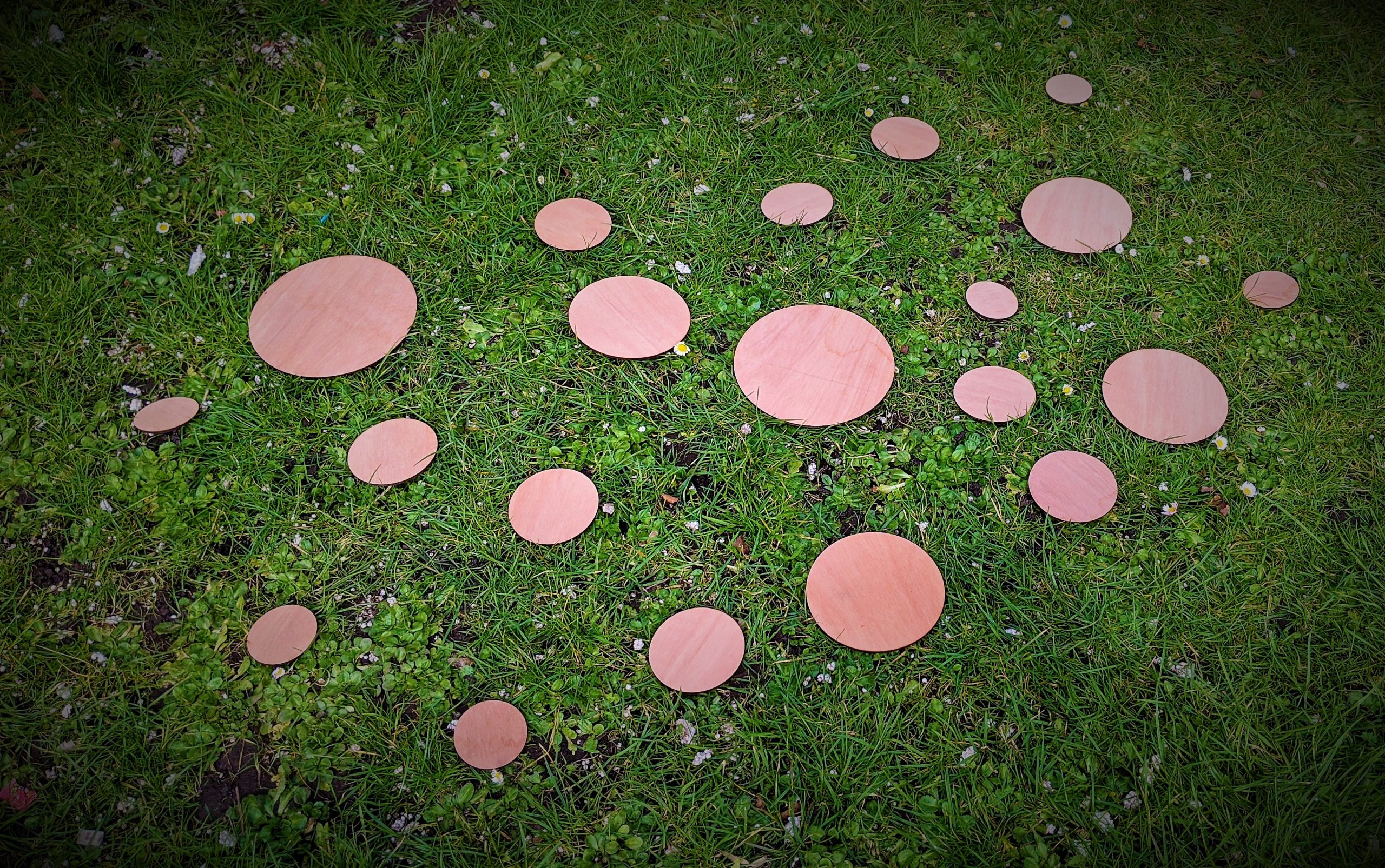 Image of 20 wooden discs on grass